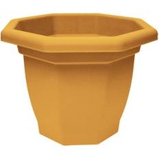Octagonal Flower Pot
