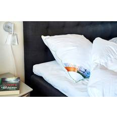 Eurodun Hovedpuder Eurodun Dream Energy Pude 60x63 Gåseduns Pude Fiberpude (160x)