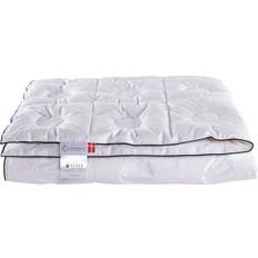 Ringsted Dun Countdown Lun Dundyne (200x140cm)