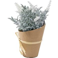 Lavender With Planter 22 cm