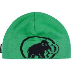Herr - Vindtät Mössor Mammut Tweak Beanie Mössa - Pinea/Black