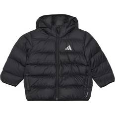 adidas Performance Vadderad Jacka - Svart