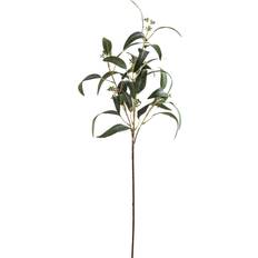 Seeded Eucalyptus 86cm x 10cm Green