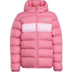 Adidas Rosa Ytterkläder adidas Performance Vadderad Jacka - Rosa Fusion True Pink
