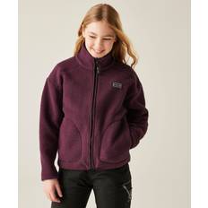 Purple Fleece Garments Dare 2b Stretch Insulating Active Fleece Fig - Purple