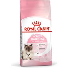 Royal Canin Cats Pets Royal Canin Mother & Babycat 4kg