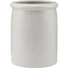 Pion