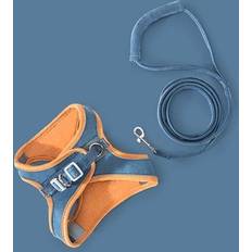 Harness Leash Strip 4.9ft Orange Blue