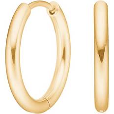Titanium Øreringe Nordahl Jewellery Pure Titanium creoler forgyldt (12 mm)