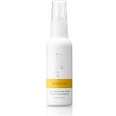 Philip Kingsley Hair Sprays Philip Kingsley Maximizer Root Boosting Spray 60ml