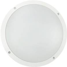Solar Plus Gulvlamper & Havelamper Solar Plus Oko Åben 6W 12W 530-920LM CCT IK10 HV Bedlampe