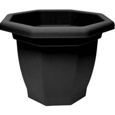 Octaganol Bell Pot