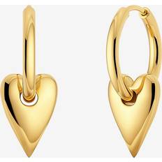 Edblad Øreringe Amore Hoops S Gold - Guld