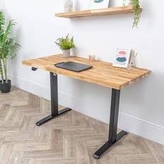 D1 Electric Standing Office