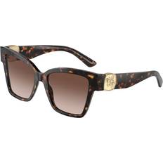 Dolce & Gabbana DG4470 502 13 Acetat Sköldpadda Brun