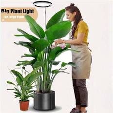 Shein Indoor Plant Light For Indoor Plants