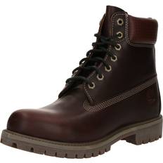 Timberland 6 Inch Premium Waterproof Leather Ankle Boots - Brown