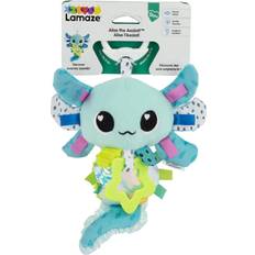 Alise the Axolotl