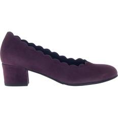 Purple - Women Heels & Pumps Gabor Gigi Womens Court Shoes - Bramble Suede