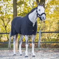 Black Horse Rugs QHP Polar Show Blanket For Horse Zahra - Black