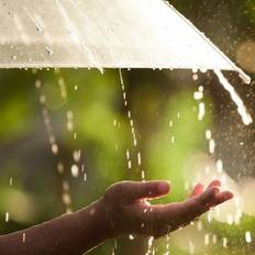 Umbrellas Transparent Folding Portable Rain Umbrellas