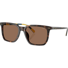 Polo Ralph Lauren Heritage Rugby Stripe PH4224U 500373 - Shiny Dark Havana