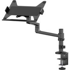 DS20-425BL1, Arm..