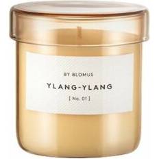 Blomus Vaola Ylang Misty Rose Scented Candle