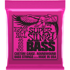 Bas Strenge Ernie Ball P02834