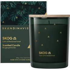 Bambus Duftlys Skandinavisk Skog Scented Candle 200 gr Duftlys