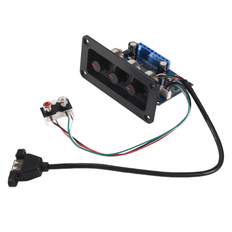 2.1 Channel Digital Amplifier Board DC12-20V