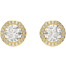 Swarovski Guld Örhängen Swarovski Sterling Silver 925 Damörhängen Stainless Steel - Gold