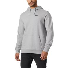 Helly Hansen Tröjor Helly Hansen Core Graphic Hoodie - Grå