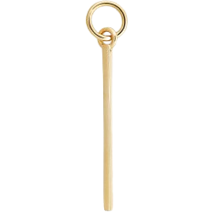 Single Bar Hoop Charm - Gold
