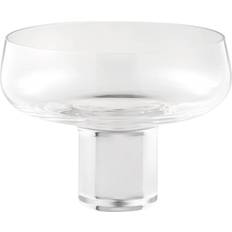 Champagne Coupe
