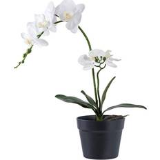 Grøn Dekorationer House Nordic Grøn Hivd H:49 cm Kunstig plante