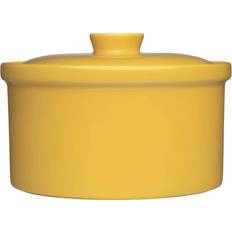 Gul Gryder Iittala Teema Honey med låg 20.9cm