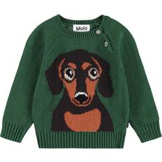 Molo Bomuld Striktrøjer Molo Bluse Uld Bomuld Dachs Puppy - Khaki Green