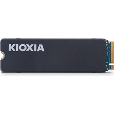 Exceria NVMe 1TB Kylfläns