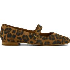 Toms Women Ballerinas Toms Suede Leopard Print Shoe - Brown