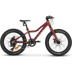 Junior Børnecykler Made Børnecykel Acer 20 Burgundy Børnecykel