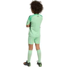 adidas Liverpool Home Goalkeeper Mini Kit Green