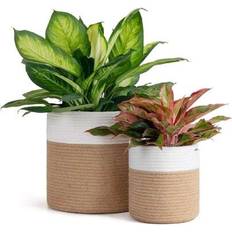 Pots, Plants & Cultivation Shein Woven Rope Basket Flower Pot