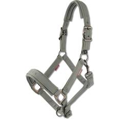LeMieux Halters & Lead Ropes LeMieux Nylon Halter For Horse Finesse Rose