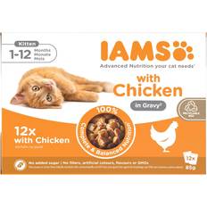 IAMS Kitten Wet Cat Food Chicken in Gravy 85g 12-pack