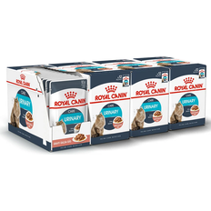 Royal Canin Urinary Care Gravy 85g 48-pack