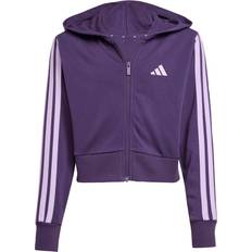 Purple Hoodies Children's Clothing adidas Kid's Essentials Full-Zip Hoodie - Aurora Plum/Powder Plum (JY4985)