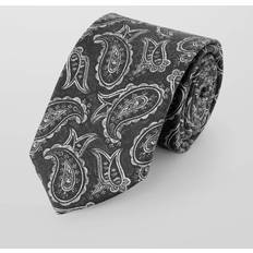Grey Ties Charles Tyrwhitt Men's Wool Paisley Tie - Navy