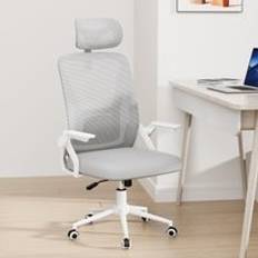 Ergonomic Mesh Grey Office Chair
