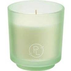 Refillable Seagrass Eucalyptus Jar